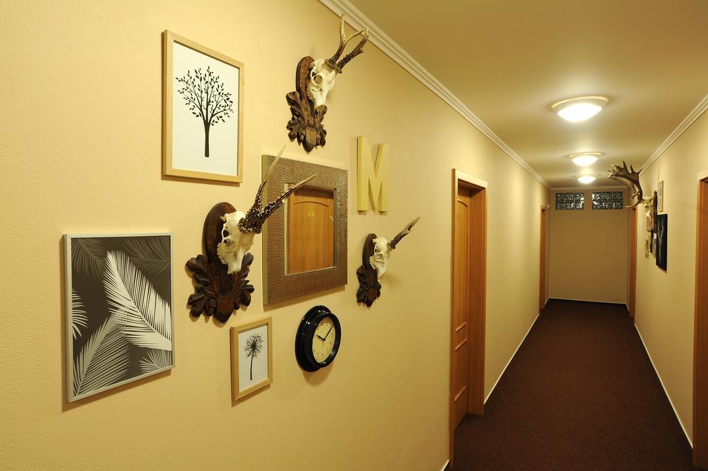 Wellness Penzion Jarmilka S Privatnim Wellness Bedřichov Buitenkant foto