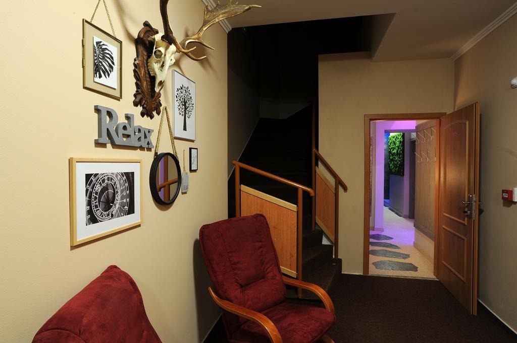Wellness Penzion Jarmilka S Privatnim Wellness Bedřichov Buitenkant foto